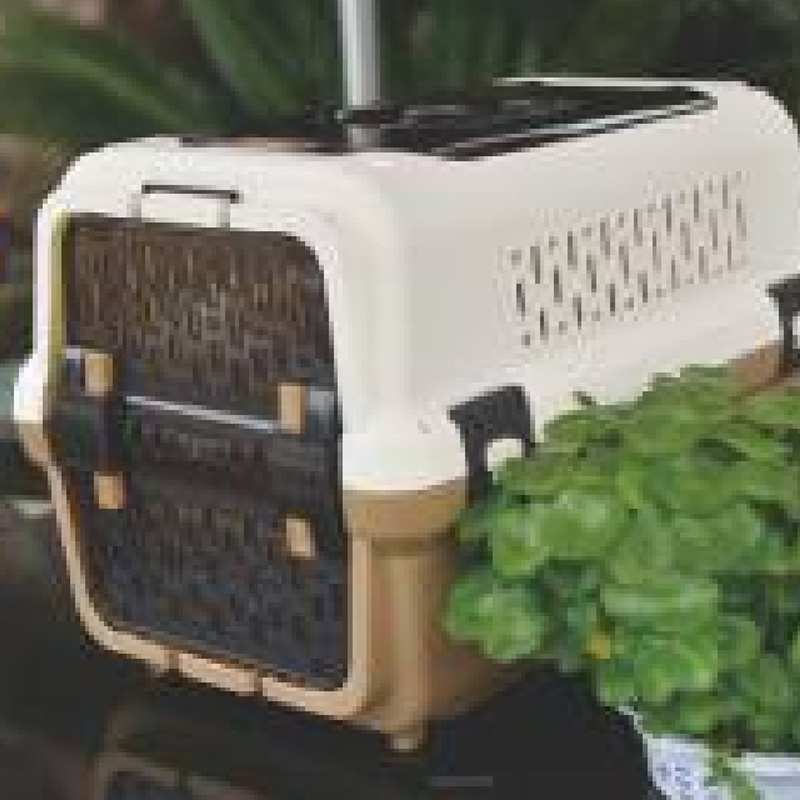 Portable Dog & Cat Carrier Plastic Pet Box Mold