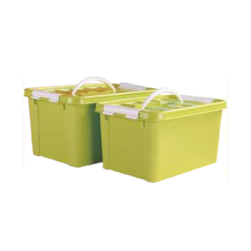 Plastic Organizer Box with Handle Injection Mold