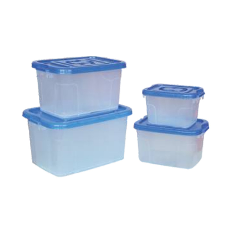 Plastic Storage Box with Lid Transparent Injection Mold